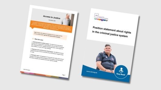 Thumbnail for the Access to Justice position statement.